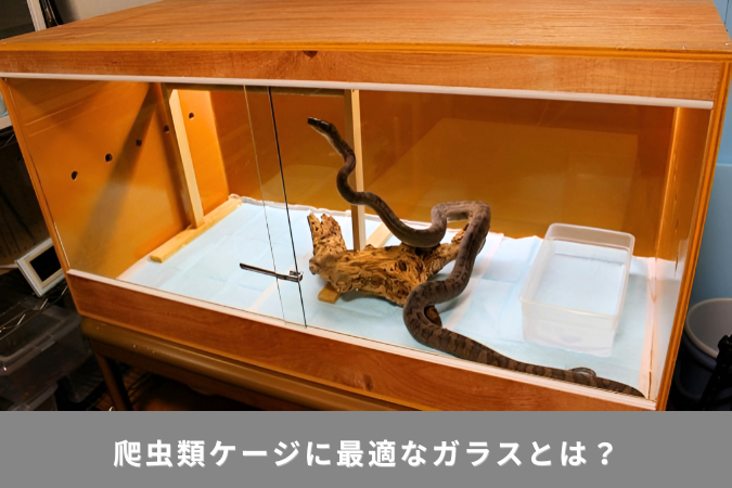 爬虫類ケージに最適なガラスとは？オーダー製作のメリットとお客様の製作事例