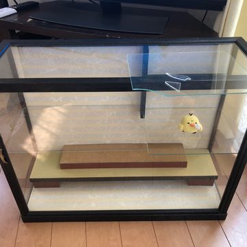 お客様の写真