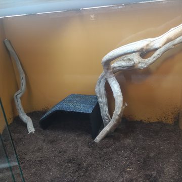 お客様の写真