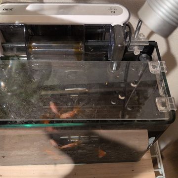 お客様の写真