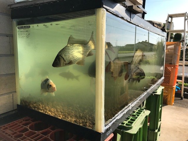 お客様の写真 1