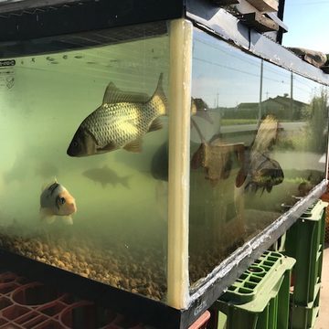 お客様の写真